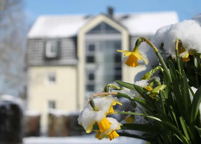 Am Wallgraben 3* ברילון